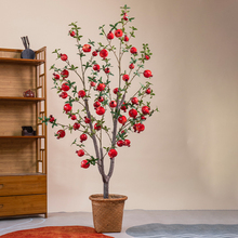 ʯ������Լ٘�ɻ�����֦���w�������͏d��������b�Ʒ�[��