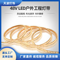 48V户外IP65工程灯带2835led灯带LED灯条led软灯条灯箱灯条批发