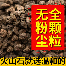 黑色火山石火山岩天然颗粒原石养花绿植铺面垫底鱼缸螃蟹过滤造景