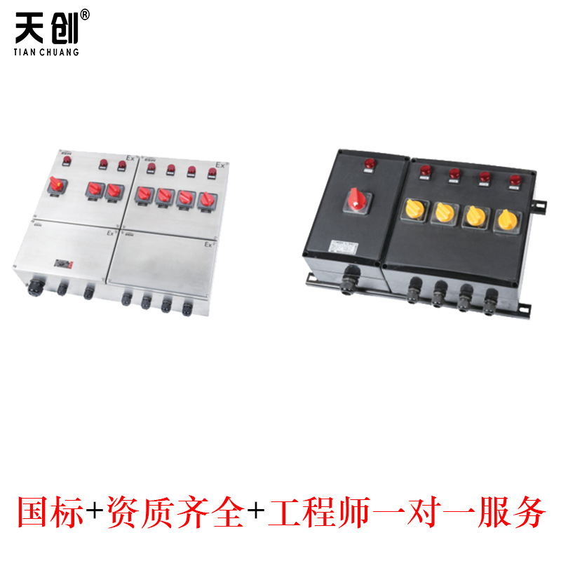 BXM52粉尘防爆箱  粉尘防爆 资质齐全，按需生产