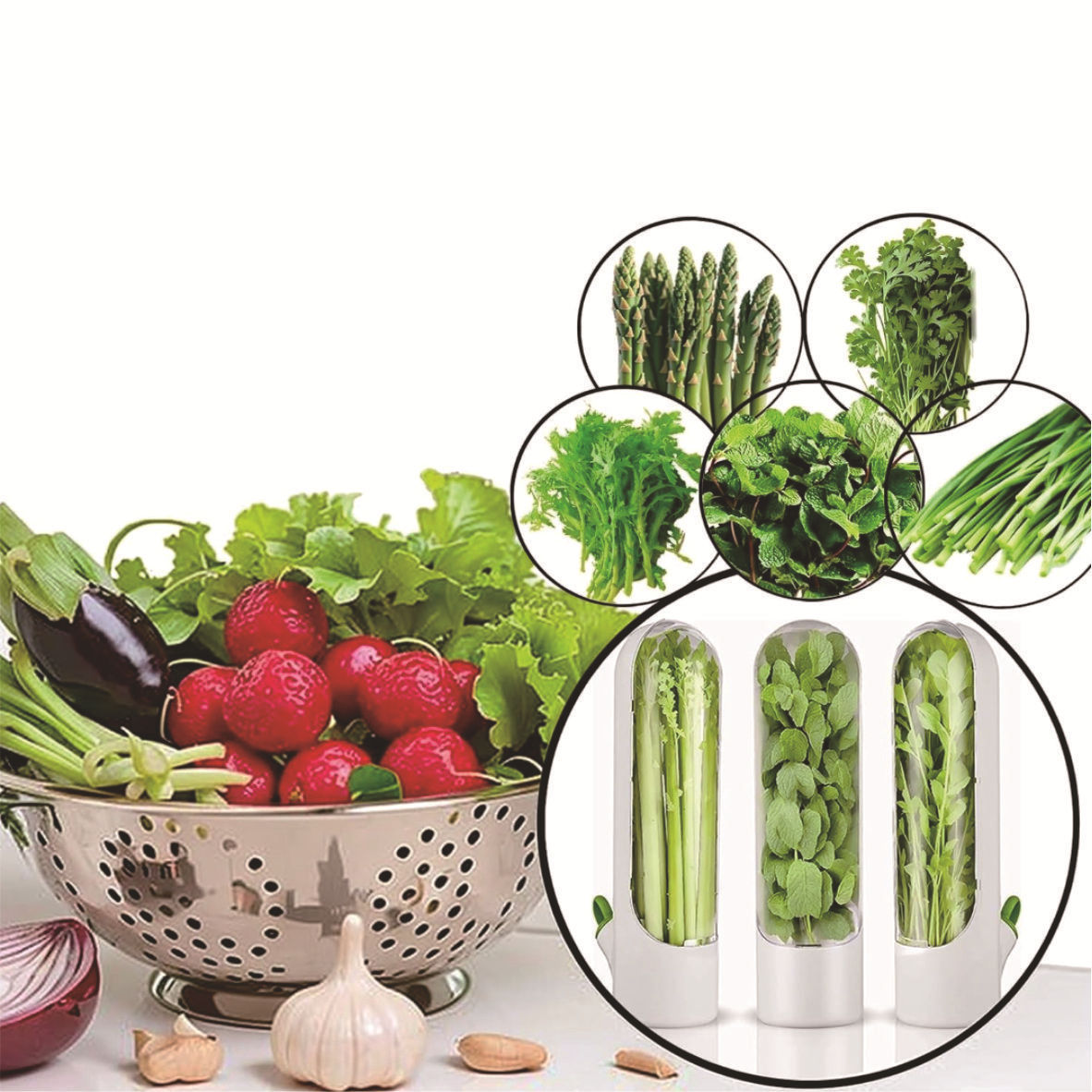 Transfronterizo Amazon herba caja de conservación de verduras almacenamiento de vegetales refrigerador almacenamiento creativo taza de conservación de cilantro