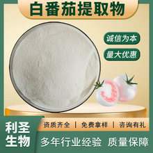 白番茄提取物10:1白番茄粉水溶浓缩植物粉化妆品原料白番茄提取物