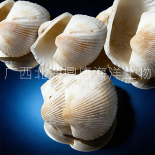 Ư�������Ӛ� ����ؐ����ˇƷ ��Ѫ����3~5cm/1��=50kg��ؐ