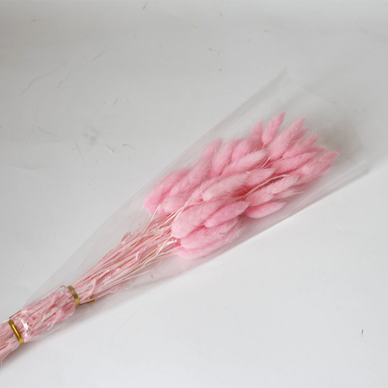 Flor seca Flor eterna Gypsophila Bola de oro No me olvides Flor seca Rosa hoja de eucalipto Pine Fruit Lover Grass al por mayor