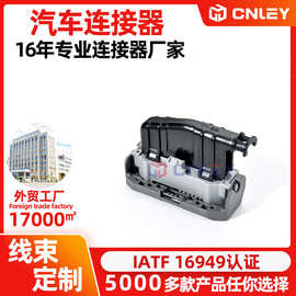 汽车连接器 24P适用于雷克萨斯大灯插头   90980-12A92/6189-7426