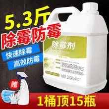 批发2.65L除霉剂 白墙去霉斑霉菌清洁剂 家用除发霉喷雾霉清除剂