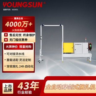 ����YOUNGSUN��������Cȫ�Ԅ�ľ�бP����C �m�侀���`����{