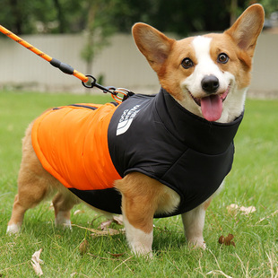 �ɠ��������·��ﶬ���޷��д���Ȯ��Ȯ�»�������ů���������R��