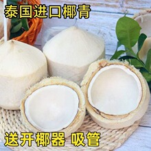 泰国香水椰青批发新鲜椰子当季新鲜水果整箱装孕妇水果
