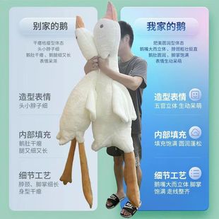 ����Zë�q������޹��пɐ�ſſ�Z���ӱ�����żŮ��˯�X���նY��