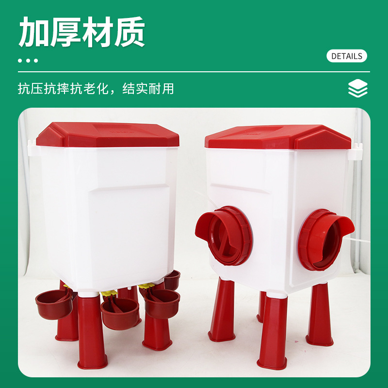 alimentador de codorilla tipo exportación con piernas de soporte bebedor automático de agua bebedor automático de codorilla de paloma alimentador automático de alimentos