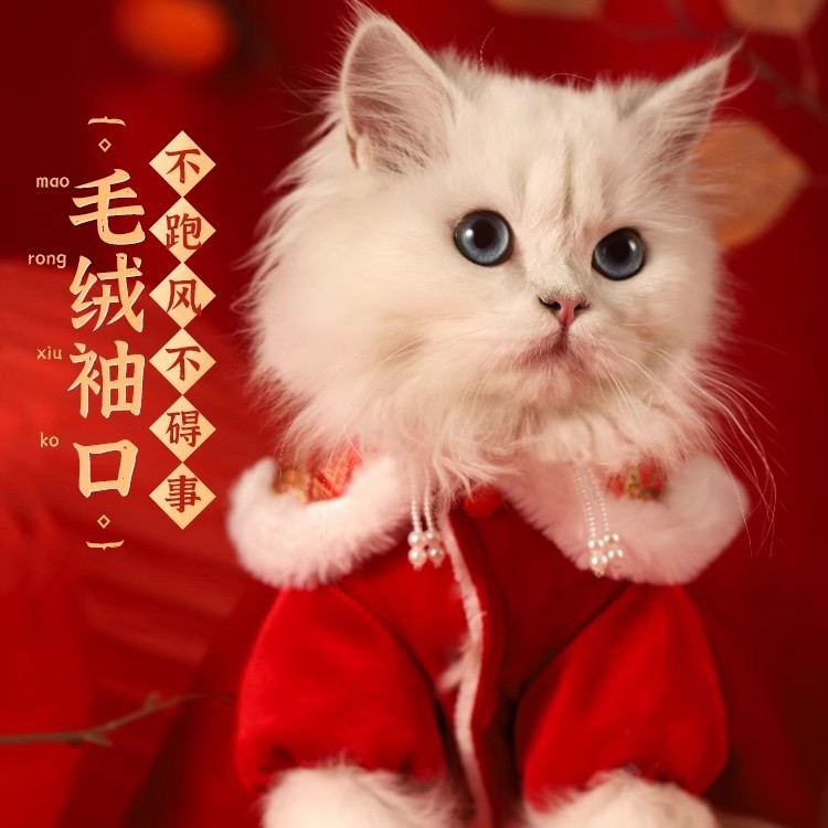 Gato Ropa otoño e invierno cálido títere Año Nuevo festivo gatito invierno mascota invierno perro Año Nuevo falda