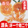 Sichuan Province wholesale Very ugly person Orange Baba Full container Large fruit Unknown fresh fruit