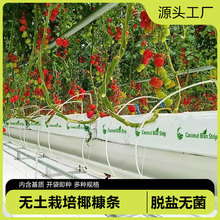 �ЙC���wҬ�������l�M�ڟo�������߲˷������t�����|�Nֲ�I�BҬ��