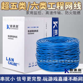 网线cat5e超5类国标超五类双绞线无氧铜跳线网络线
