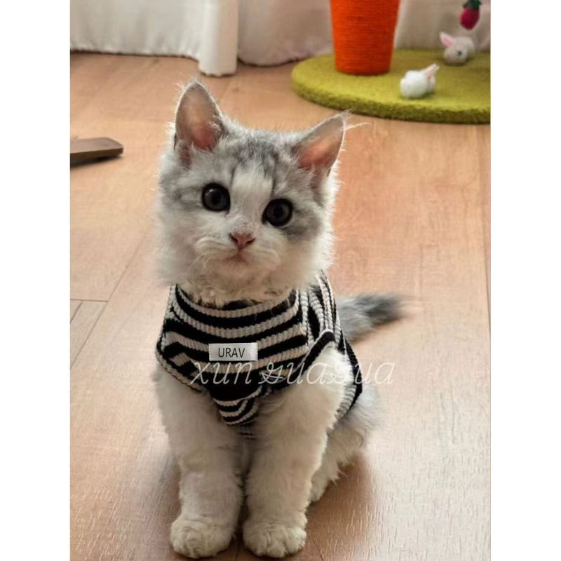 Ropa de gato alemán, perritos respirables, primavera y verano, delgados, antipello, felinos sin mangas, mascotas, ropa de dos pies.