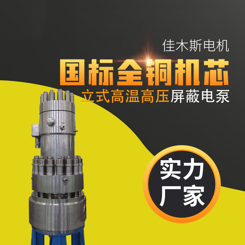 佳木斯电机马达PGL立式高温高压电动机屏蔽电泵375kw350kw500kw