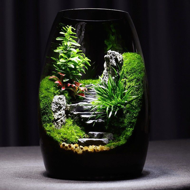 昇進デスクトップ苔マイクロ風景生態ボトル黒神話悟空鉢植えクリエイティブ装飾品オフィス植物|undefined