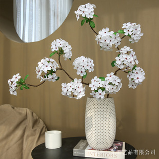 ���滨6�^�����滨��ʽ�͹ŶU���b����P�[���Ҿ�ܛ�b�b[��