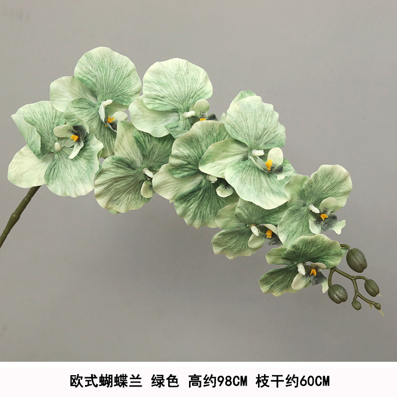 Silk european phalaenopsis green