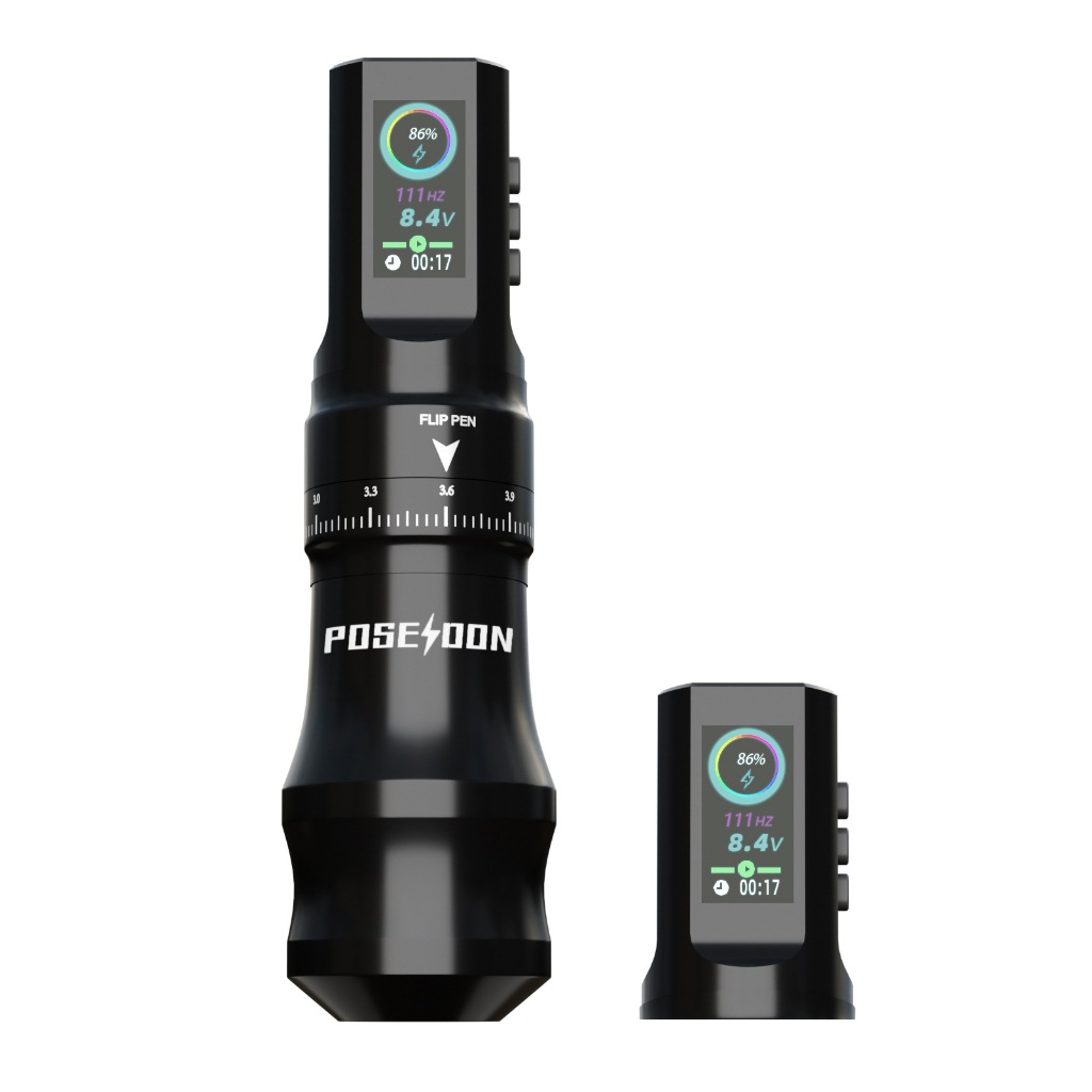 단일 듀얼 배터리