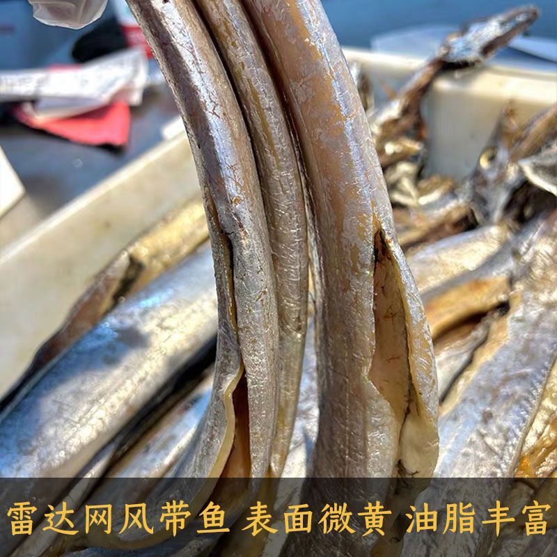 新鲜舟山带鱼风带鱼雷达网带鱼段中段去头去尾带鱼干无盐淡干