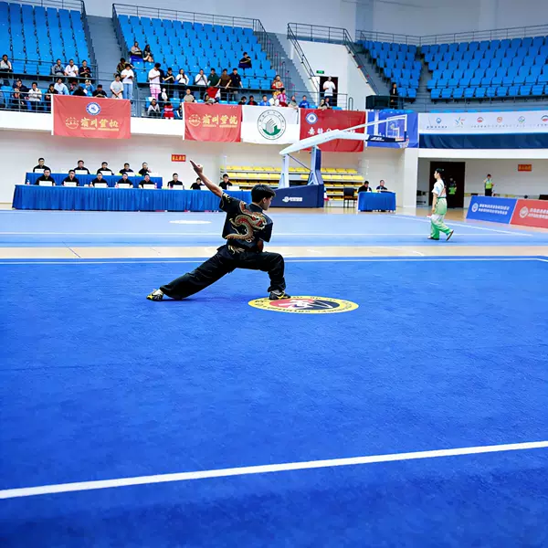 Professional martial arts carpet for competition training, cheerleading, dance practice mat, non-slip artistic gymnastics roll mat, XPE carpet