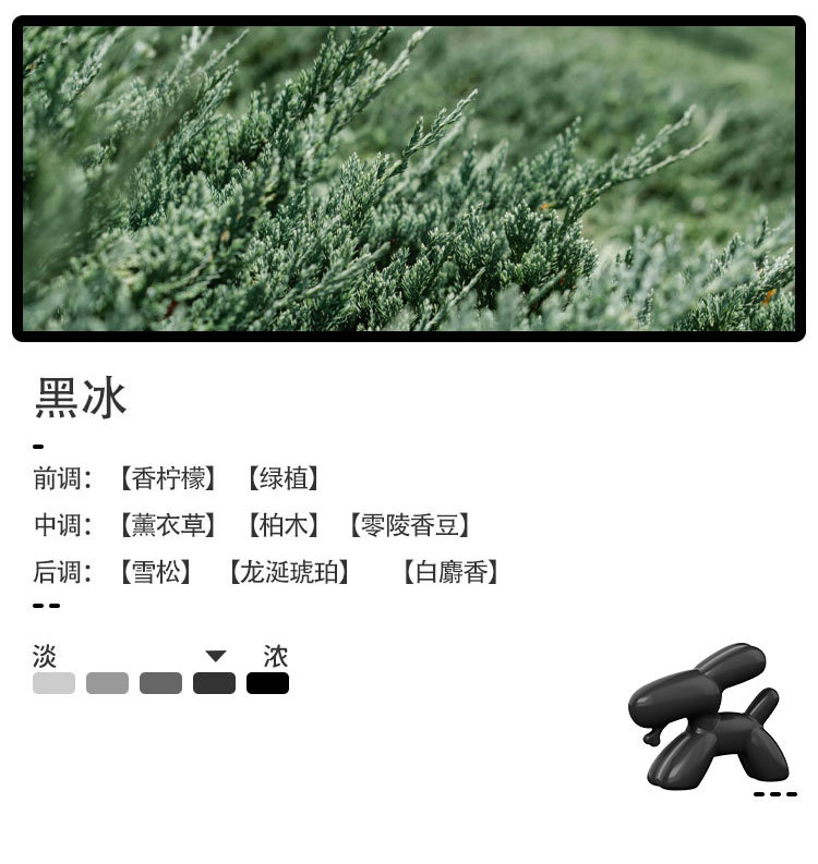 a_26