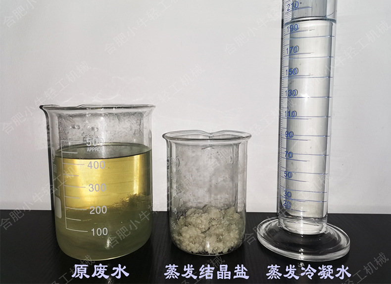 强制循环废水蒸发结晶系统 污水处理设备 多效单效蒸发浓缩结晶器