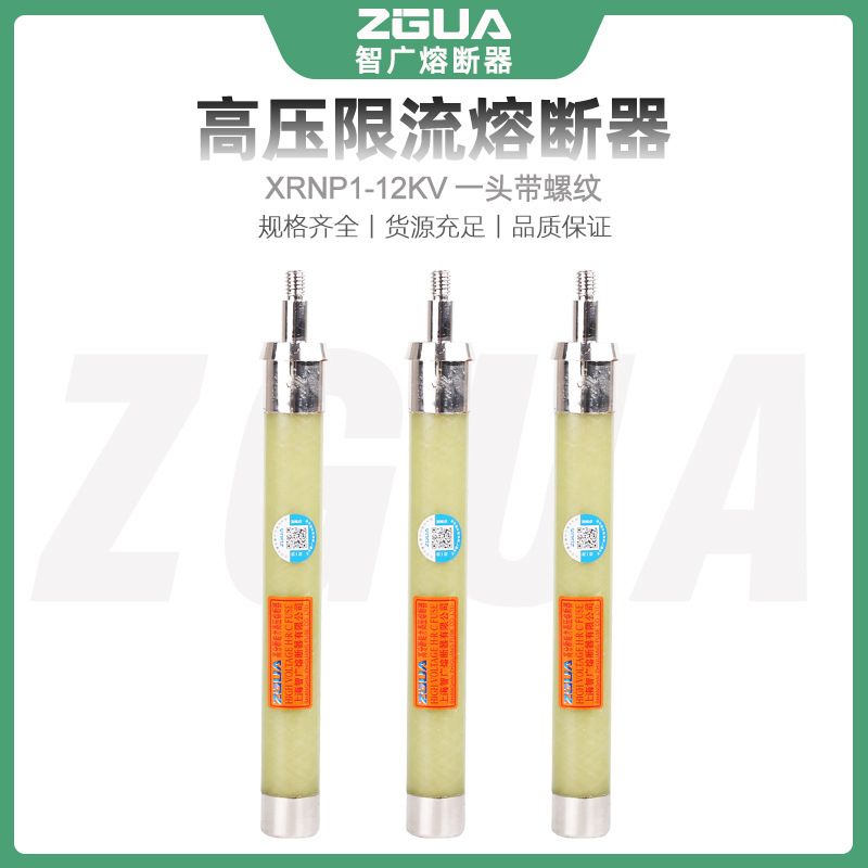 高压限流熔断器一头带螺纹XRNP-10KV/0.5A-3.15A智广互感器保护用