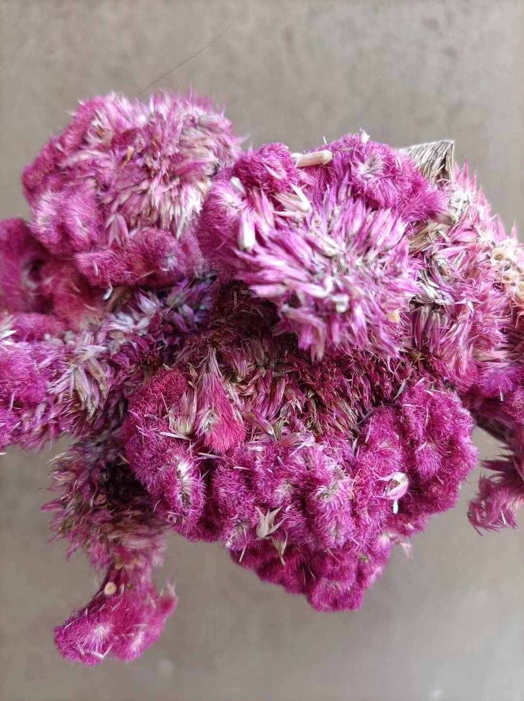 Ji Guan Hua (Celosia argentea) — Dried White & Red Cockscomb Flower, 500g key features
