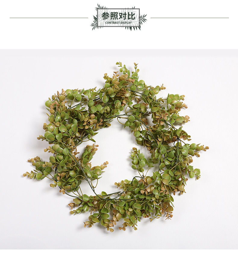 藤条详情-兰韵_10