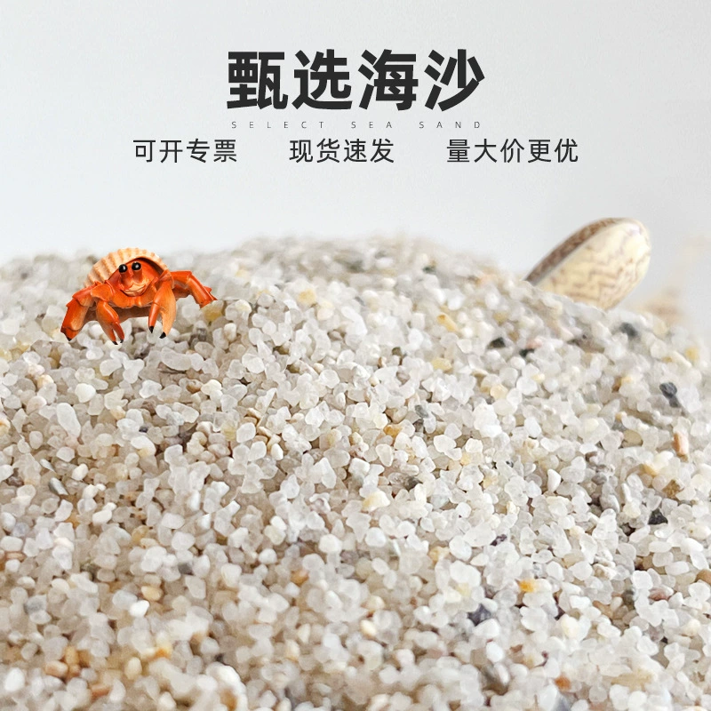 Производители оптом продают большие объемы морского песка, детского развлекательного песка, искусственного пляжа, беспыльного круглого песка, текстурированного песка, мелкого песка.