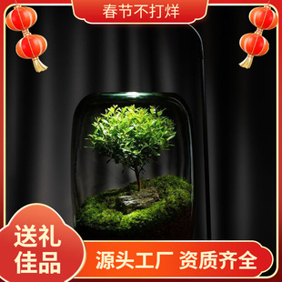 ����֮�����̦�\΢���^�k������������ֲ�������ֹ����Bƿ��ֲ��
