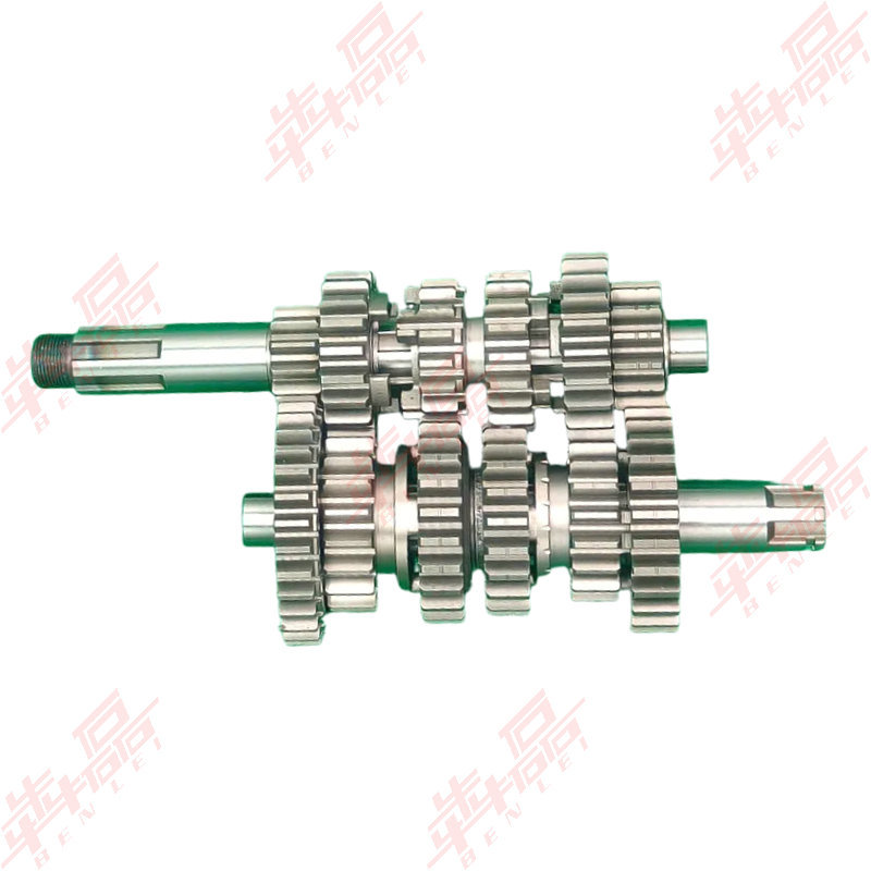 Zongshen Secolon Pr250 Pa2 Sr250-12 Six-Speed Built-In Balance Shaft Engine Main and Secondary Shaft Assembly