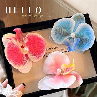 �m����l�A�߼��Շ��Е�Ⱦɫ�����l��Ů�Ă�߅�A�l��������^�