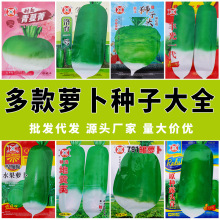 ���l�}���N�Ӵ�ȫ�＾ˮ���_�����}���N��ɳ�C���Ǵ��P���ļ�����