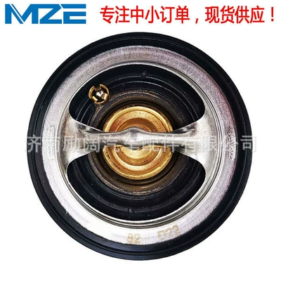 Thermostat for Cadillac SLS