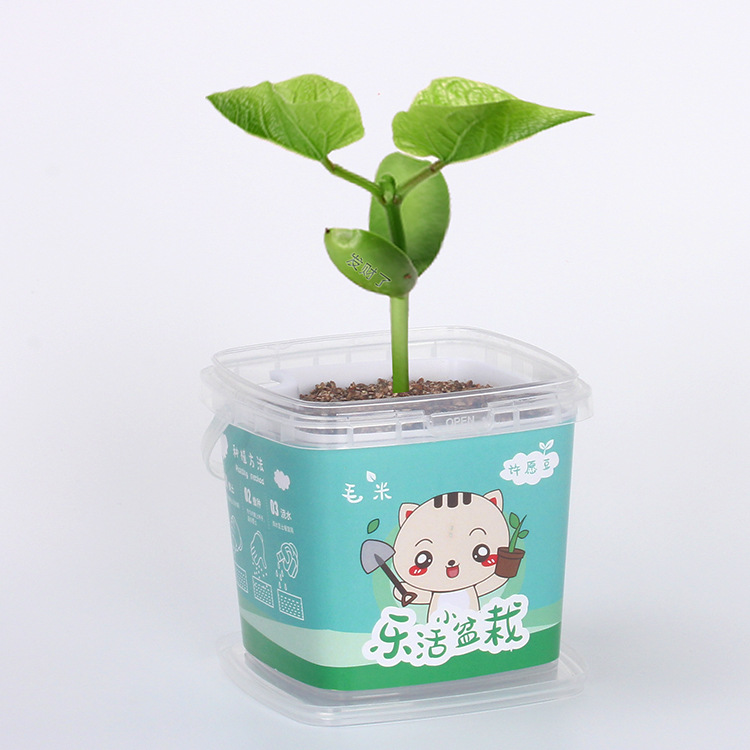 칫ֲֲֲֻԻħ  ڼֲ