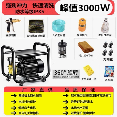 Portable car washer — 220V portable car brush gun - 3000wswivel-wheel-e-type-copper-head-short-gun-10m-steel-wire-pipe