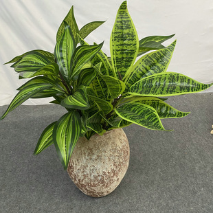 �zӡ�Ͳ����U15�~�� �͏d�bƵ�[�ŷ���Gֲ �f���������~Ƭ