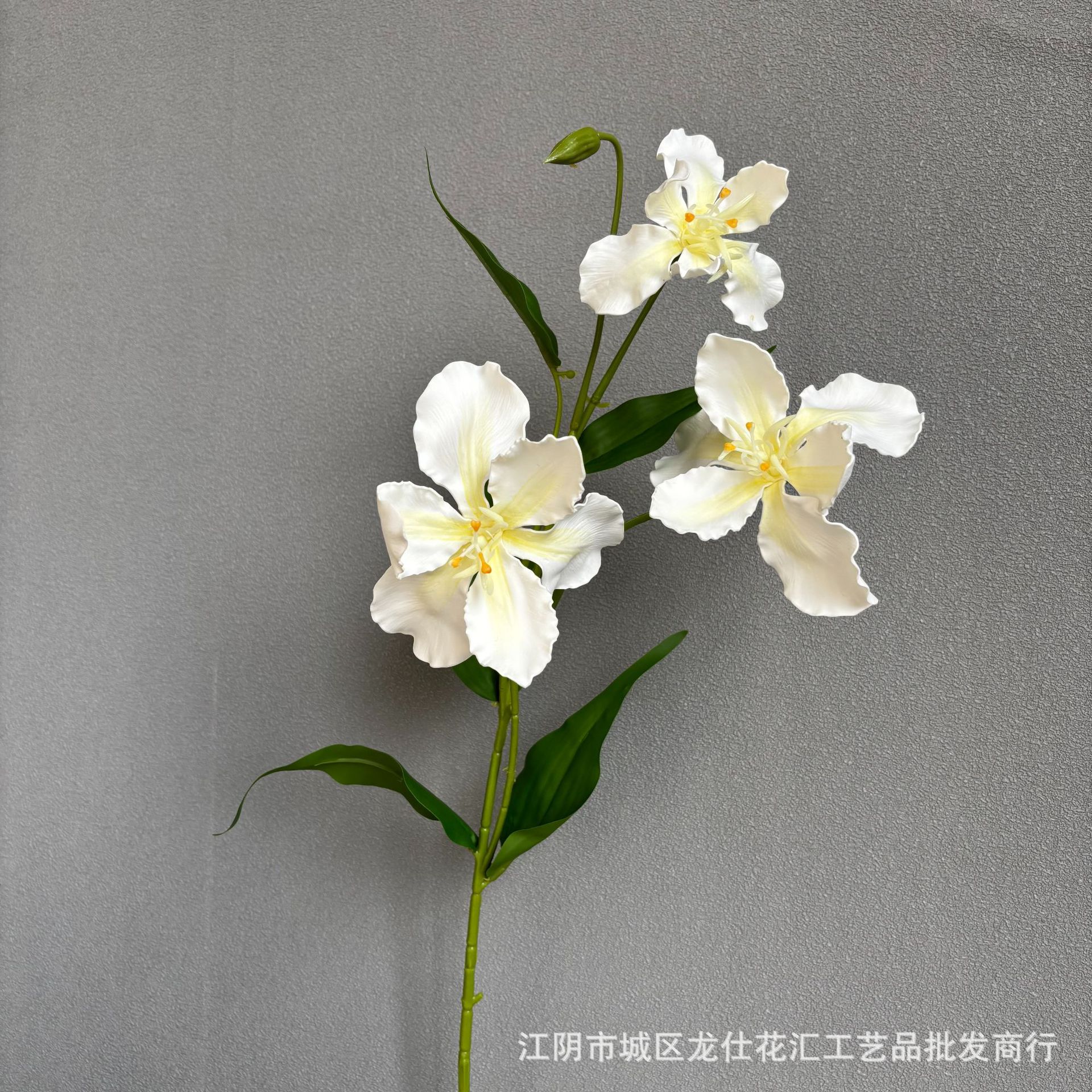 3개의 큰 꽃을 가진 붓꽃 난초
