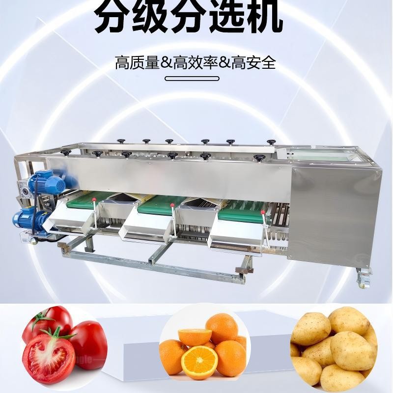 商用土豆西红柿分级机 工厂用滚杠式芒果选果机 龙眼荔枝分选机