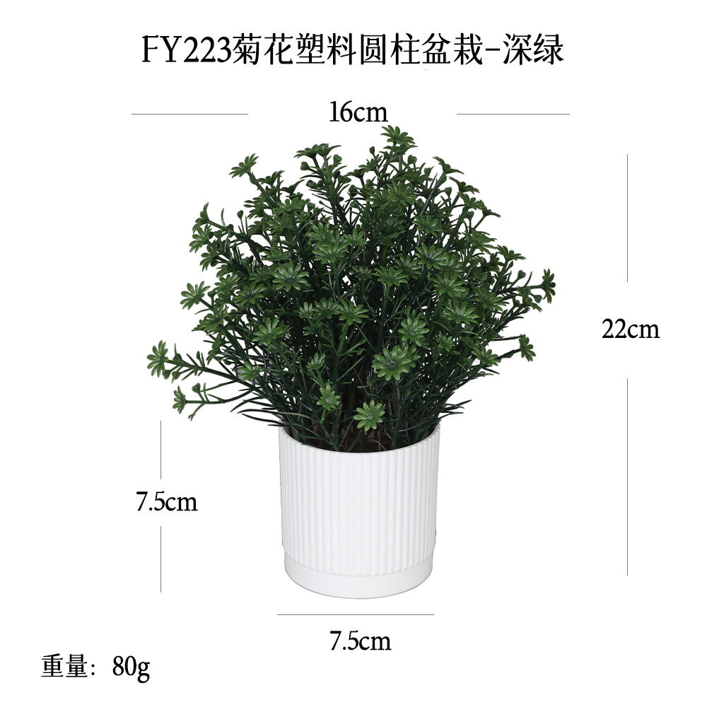 Al contado, el nuevo modelo de Amazon simula decoraciones para el hogar en macetas, plantas verdes, adornos de crisantemo, hierba de plástico y minibonsái