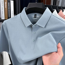 2025���ļ��¿���ʿPOLO����ɫ�߶����e�̄պ��s��Cpolo������l