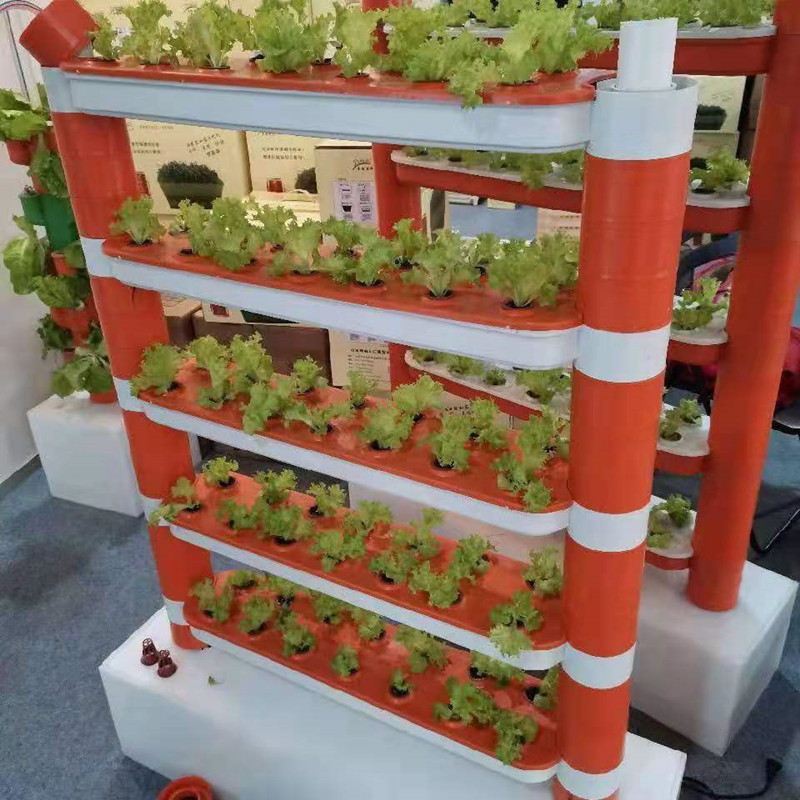 Casa Jardinería cultivo independiente jardín de infantes ciencia popular cultivo tridimensional sin suelo educación escolar cultivo de plantación de vegetales