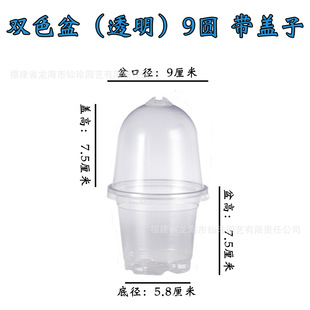 Transparent Flower Pot Thickened Hardening Double Color Cup Gallon Pot Thermal Insulation Breathable with Lid Moisturizing Flower Pot Seedling Cup