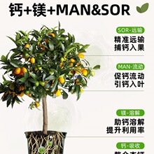 �T���ЙC�}���ϸ��}�r�ù����}�V��ˮ�ܷʲ�ݮ�@ˇ��