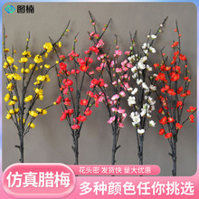 �����D÷��֧÷���D÷��֦�����ٻ��t÷�͏dƿ�廨����b����l