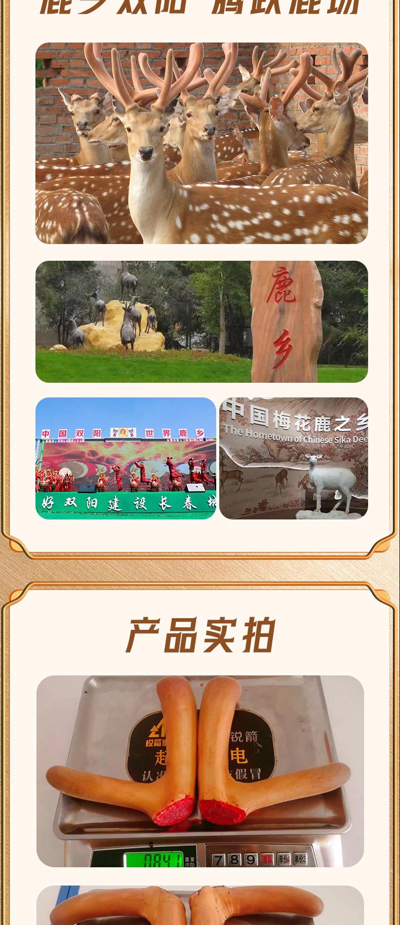 微信图片_20230324091429_06